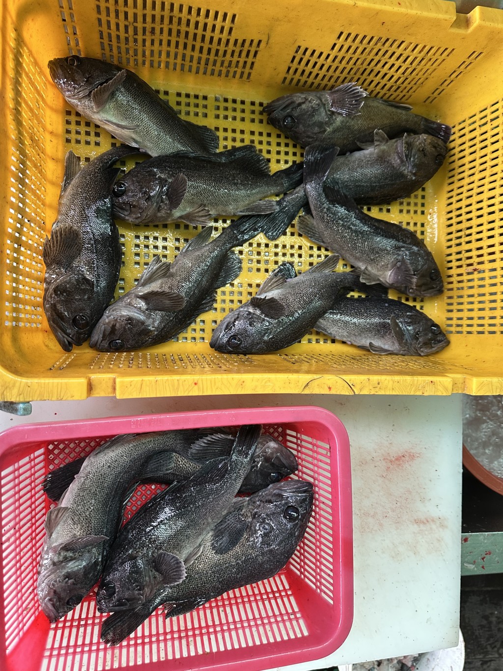 0729532f30fb30ec593a274537b49558_1762646292_9964.jpeg
